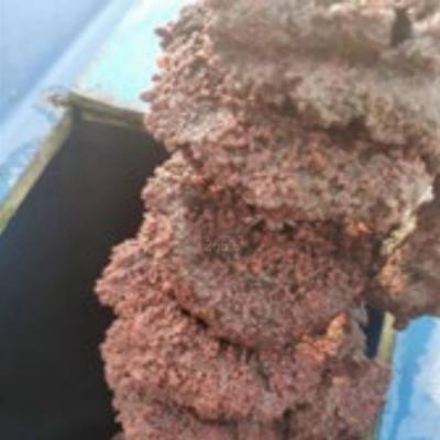 LC-AnDeN 氨氧化生物脱氮技术