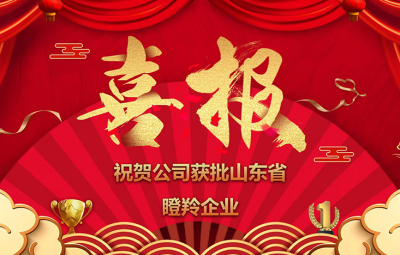 喜报！热烈祝贺我公司获批山东省瞪羚企业