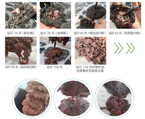 微信截图_20240624170532 副.jpg