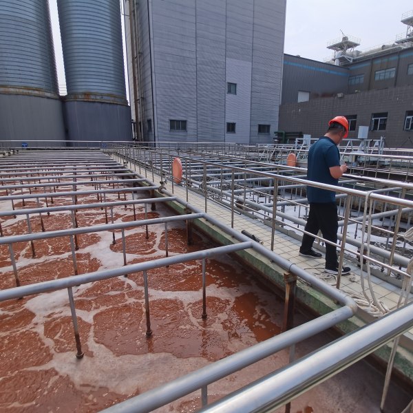 0d679c3b-a0b7-4fa6-b372-569751532cbd 副 .jpg