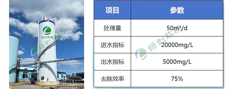 大连来克精化有限公司香料废水处理工程