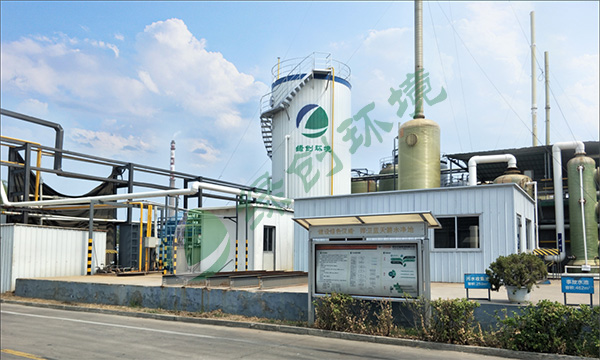 金海威国际泰安汉威化工有限公司氯化胆碱废水处理工程