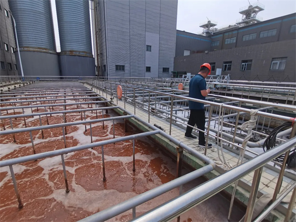 硫酸盐对厌氧系统的影响