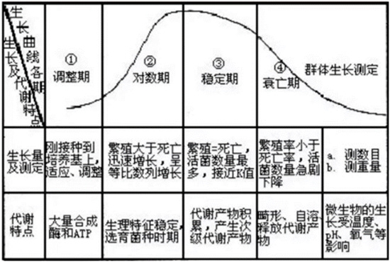 活性污泥经验总结 活性污泥经验总结