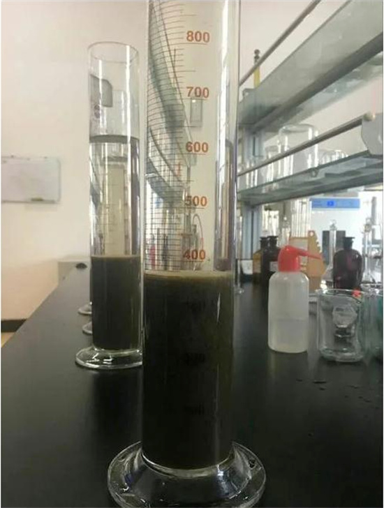 活性污泥经验总结 活性污泥经验总结